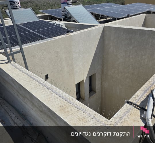 התקנת דוקרנים נגד יונים על מעקה גג בטון
